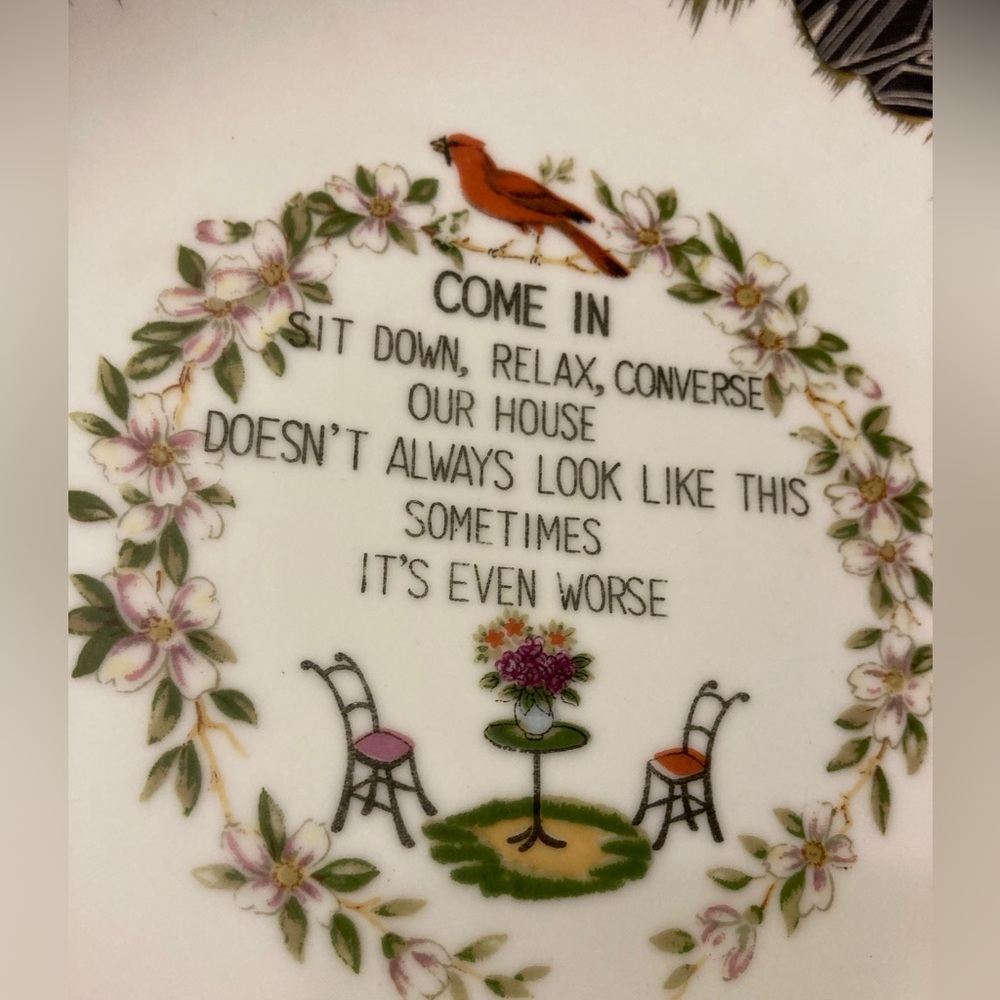 Vintage Funny Apology Decorative Wall Plate - Picture 4 of 15